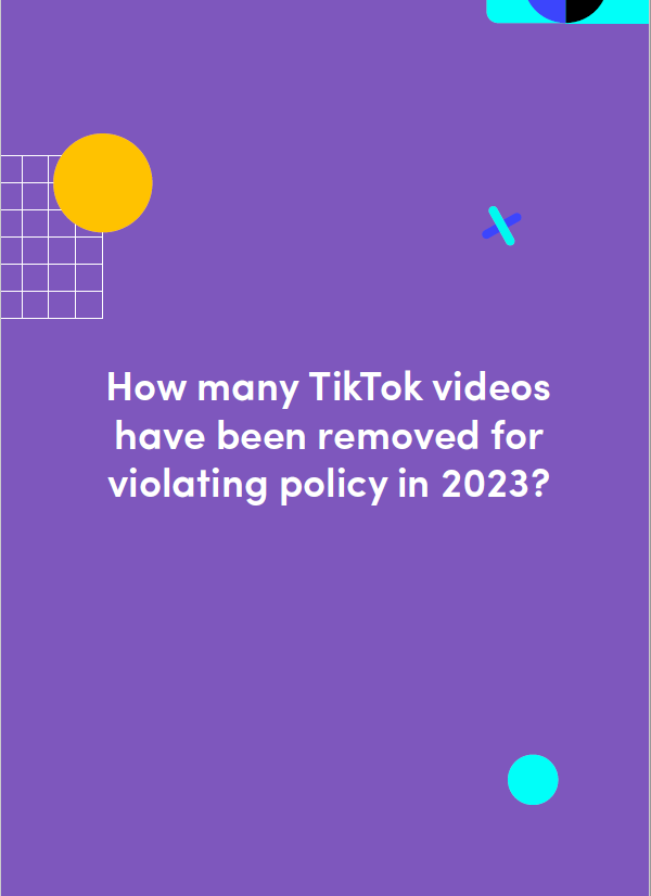 Ebook TikTok Dropshipping Guide - Page 1